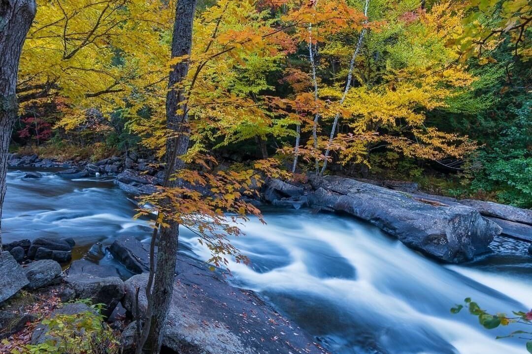 Photo of Others in Algonquin Highlands