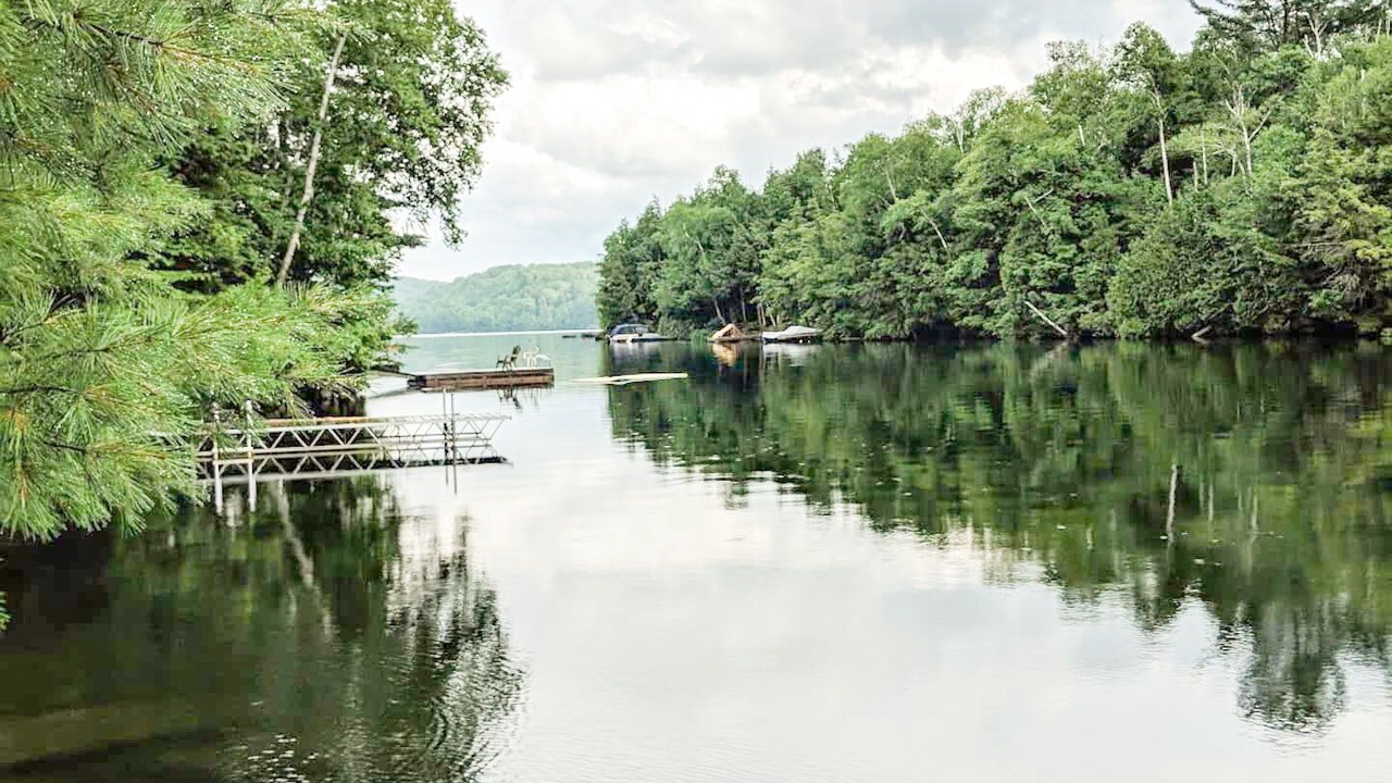 Photo of Outdoor in Algonquin Highlands