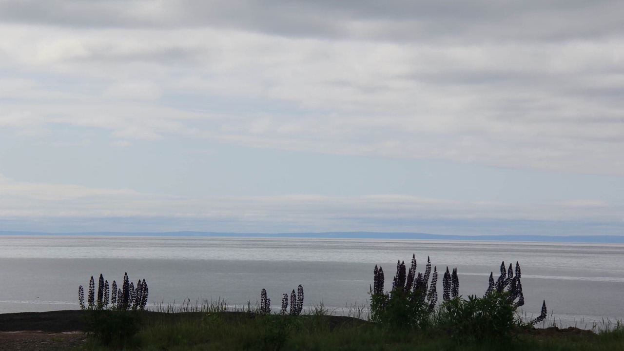 Photo of Others in Bay View