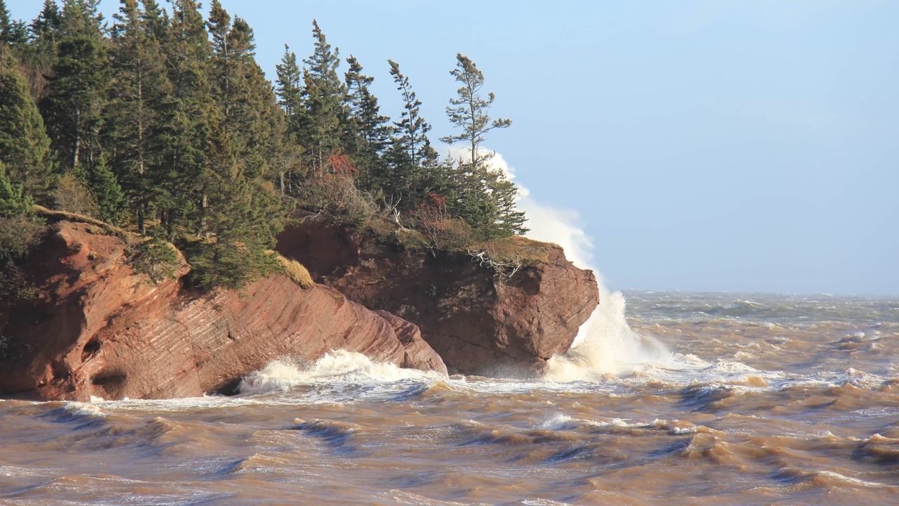 Photo of Others in Bay View