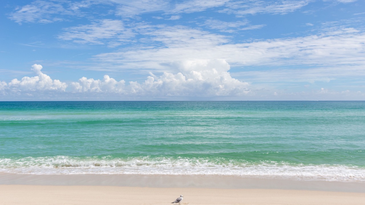 Photo of Others in Mid Beach