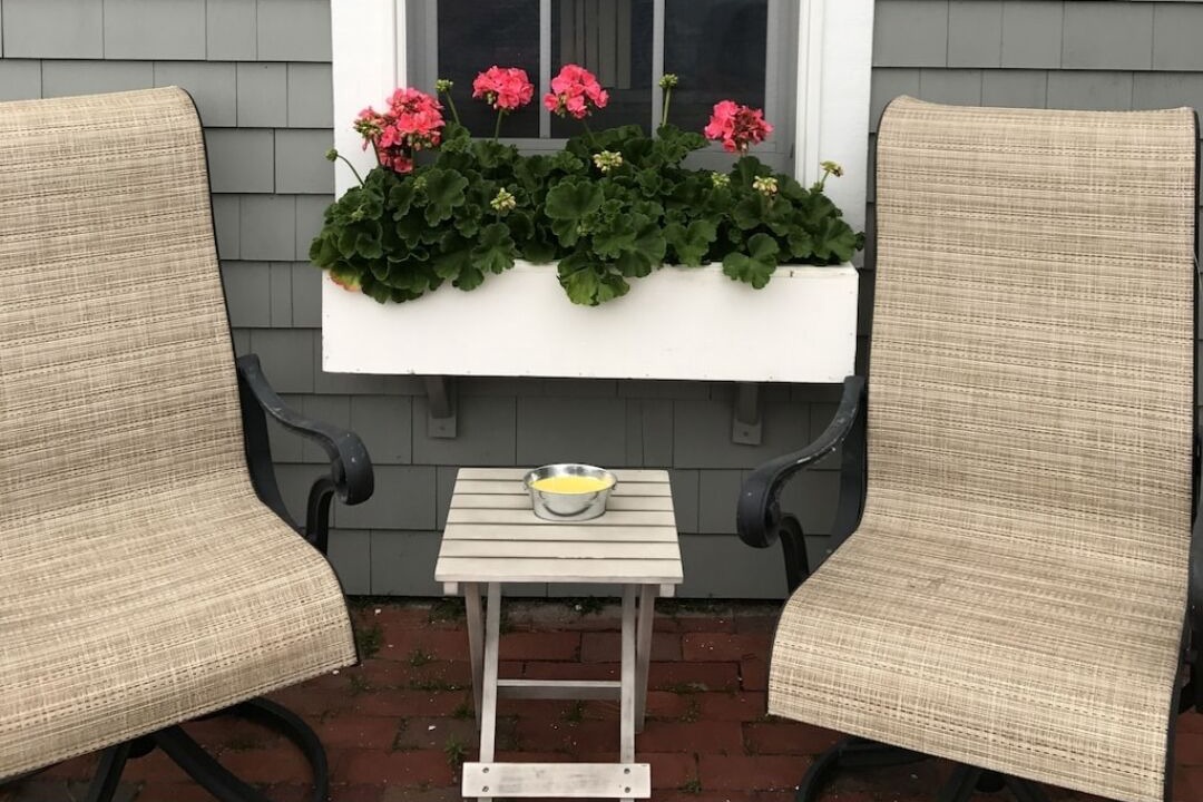 Photo of Outdoor in Mashpee