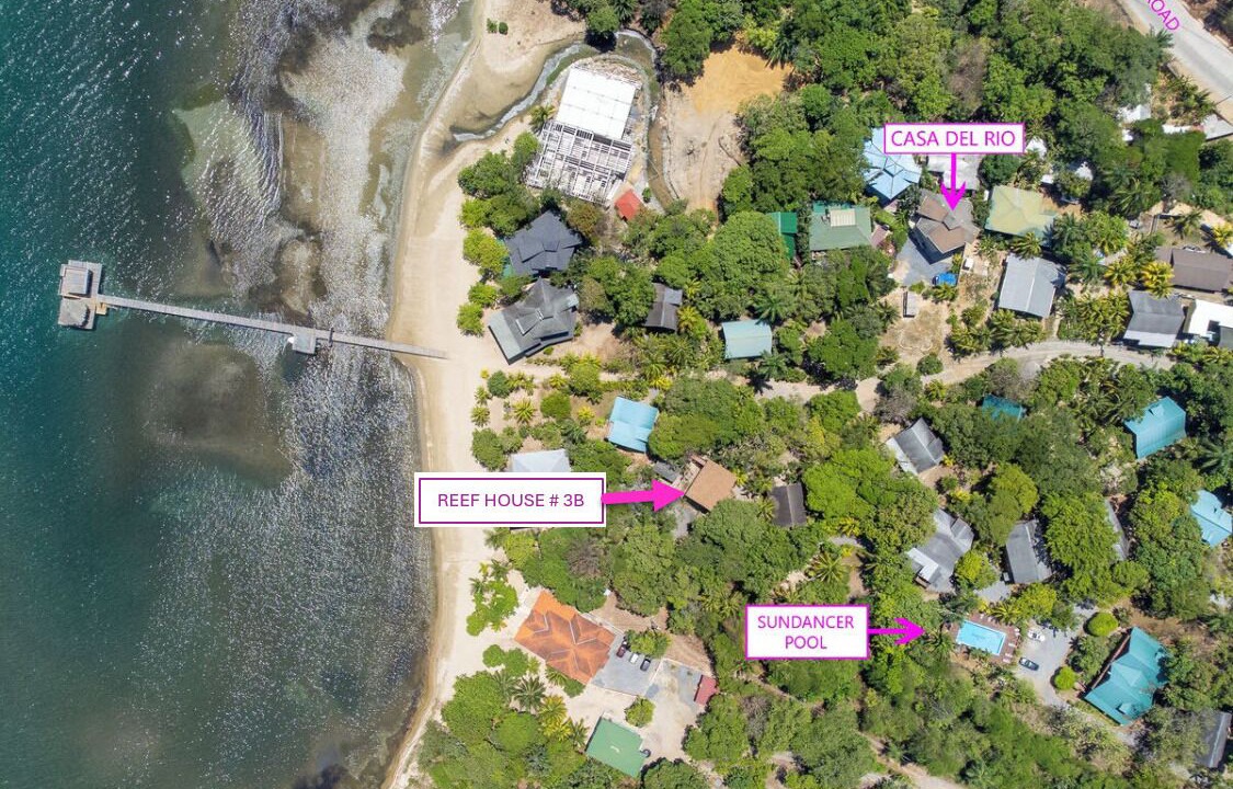 Photo of Outdoor in Antoneys Cay