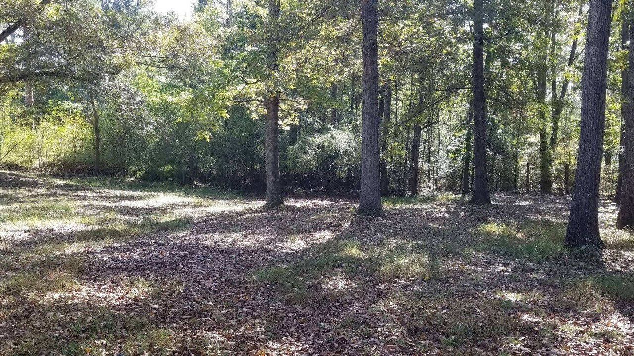 Photo of Outdoor in Stewart