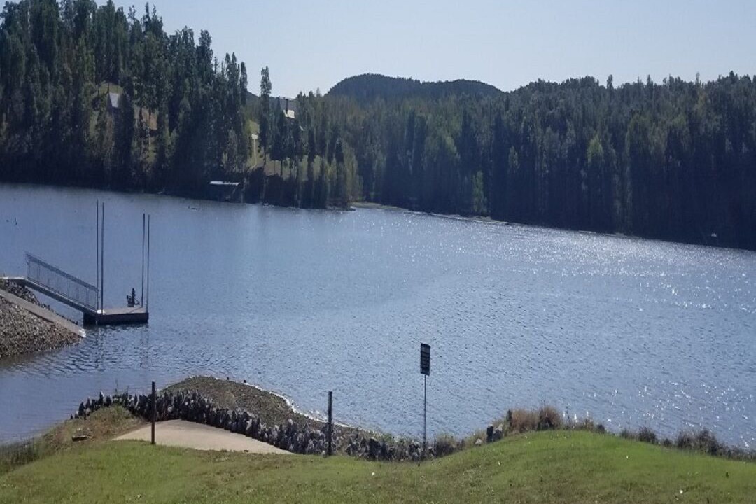 Photo of Others in Stewart