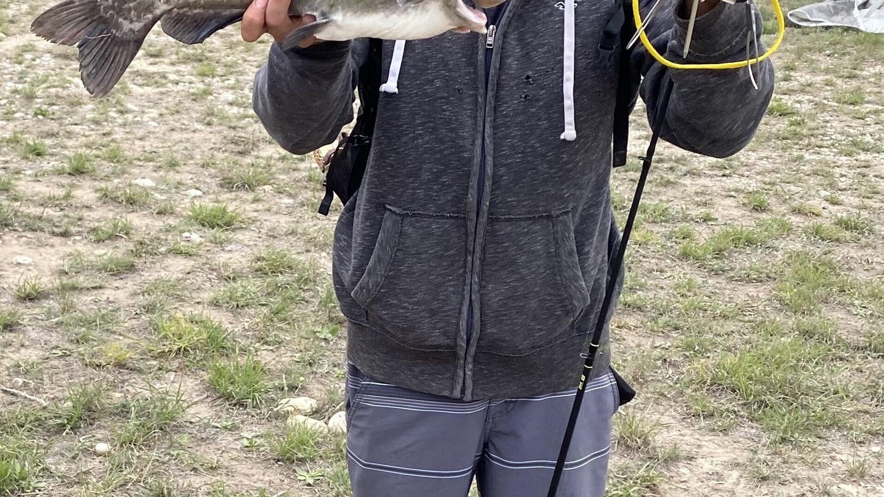 Photo of Others in Uvalde