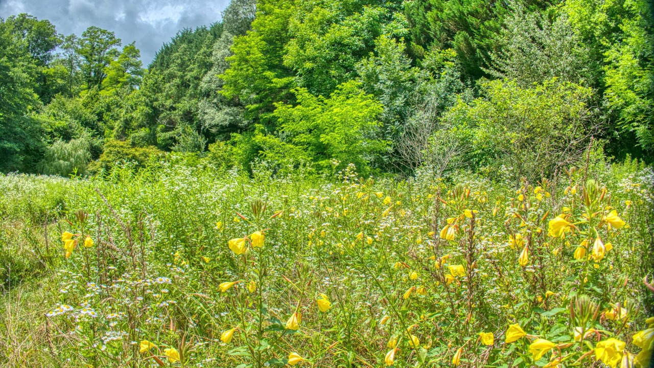 Photo of Outdoor in Rumilly
