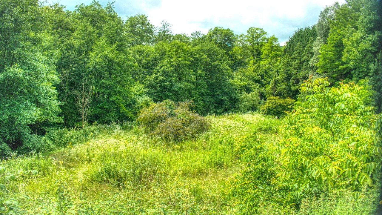 Photo of Outdoor in Rumilly