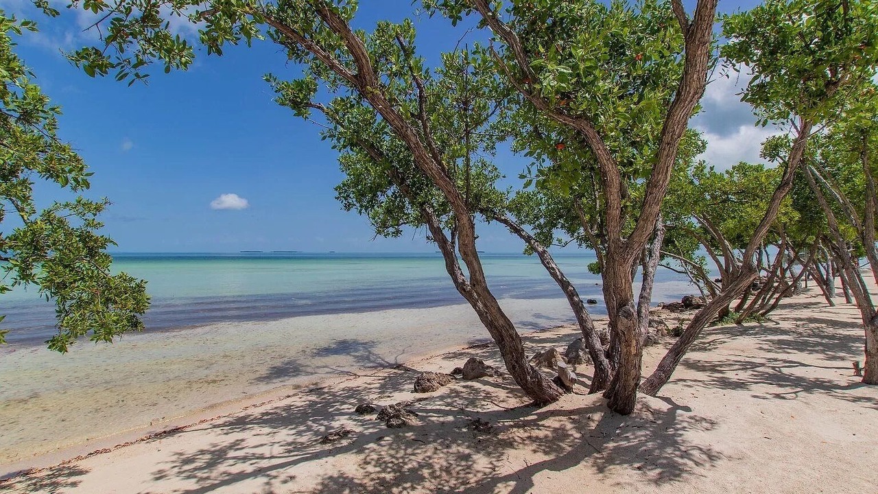 Photo of Others in Islamorada