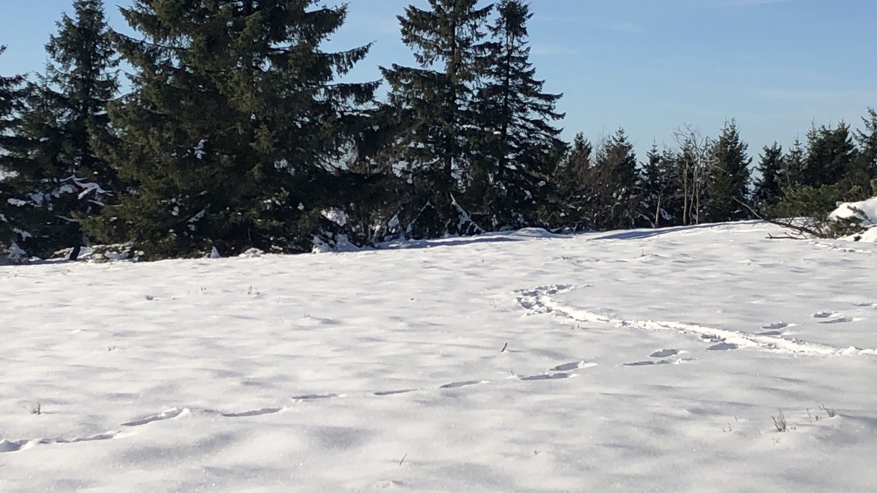 Photo of Others in Boedefeld