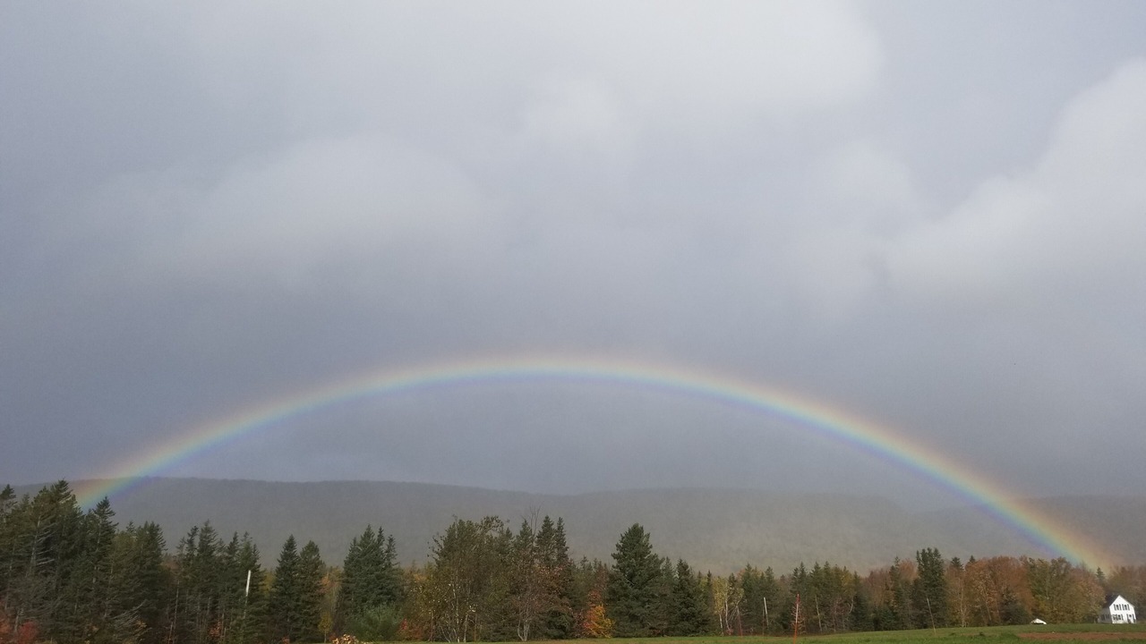 Photo of Others in Margaree Valley