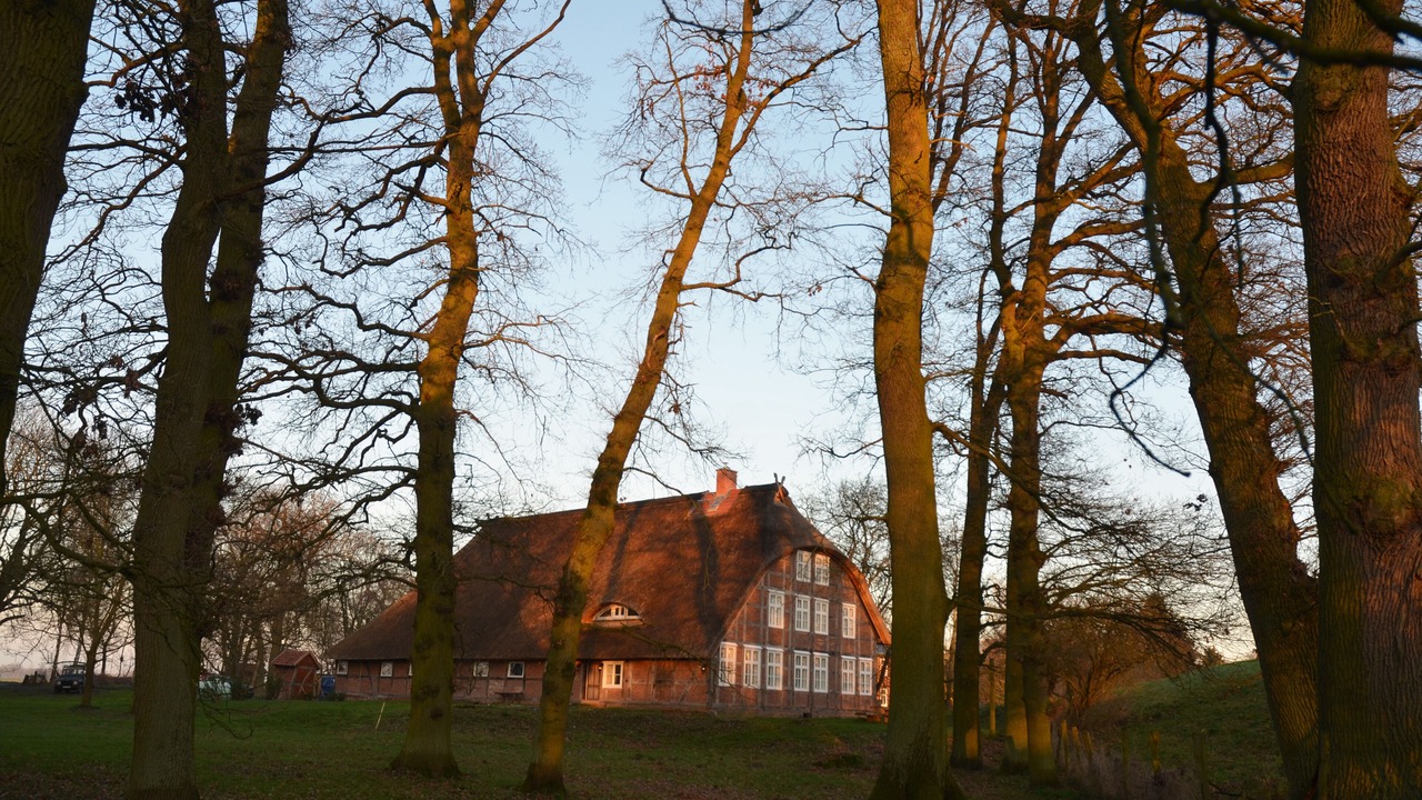 Photo of Outdoor in Seedorf