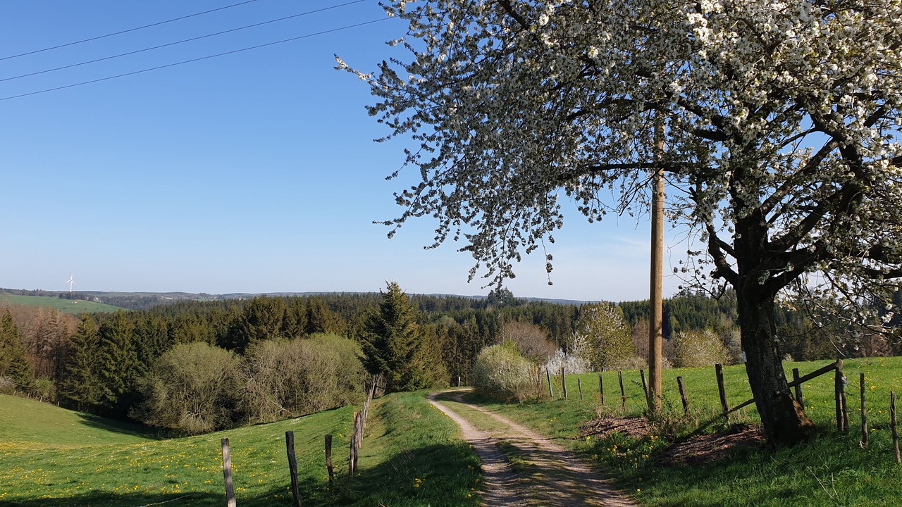 Photo of Outdoor in Schleiden