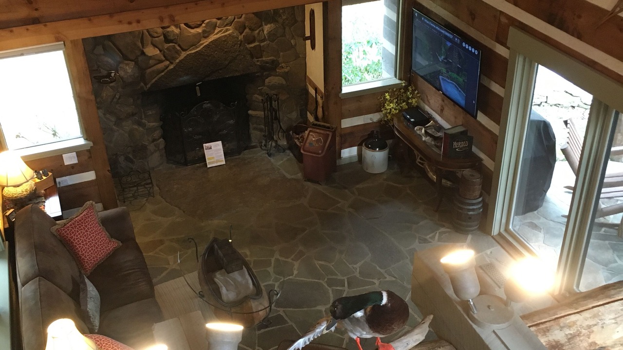 Photo of Livingroom in Ferguson