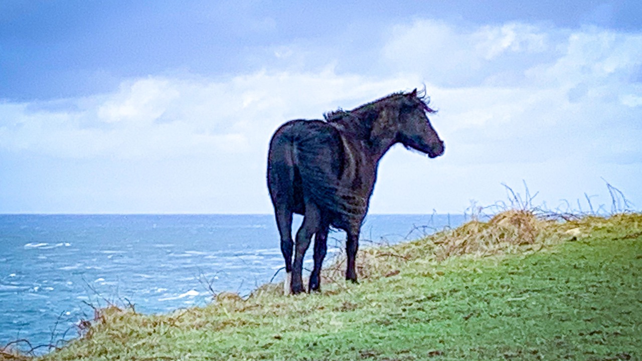 Photo of Others in Eglwyswrw