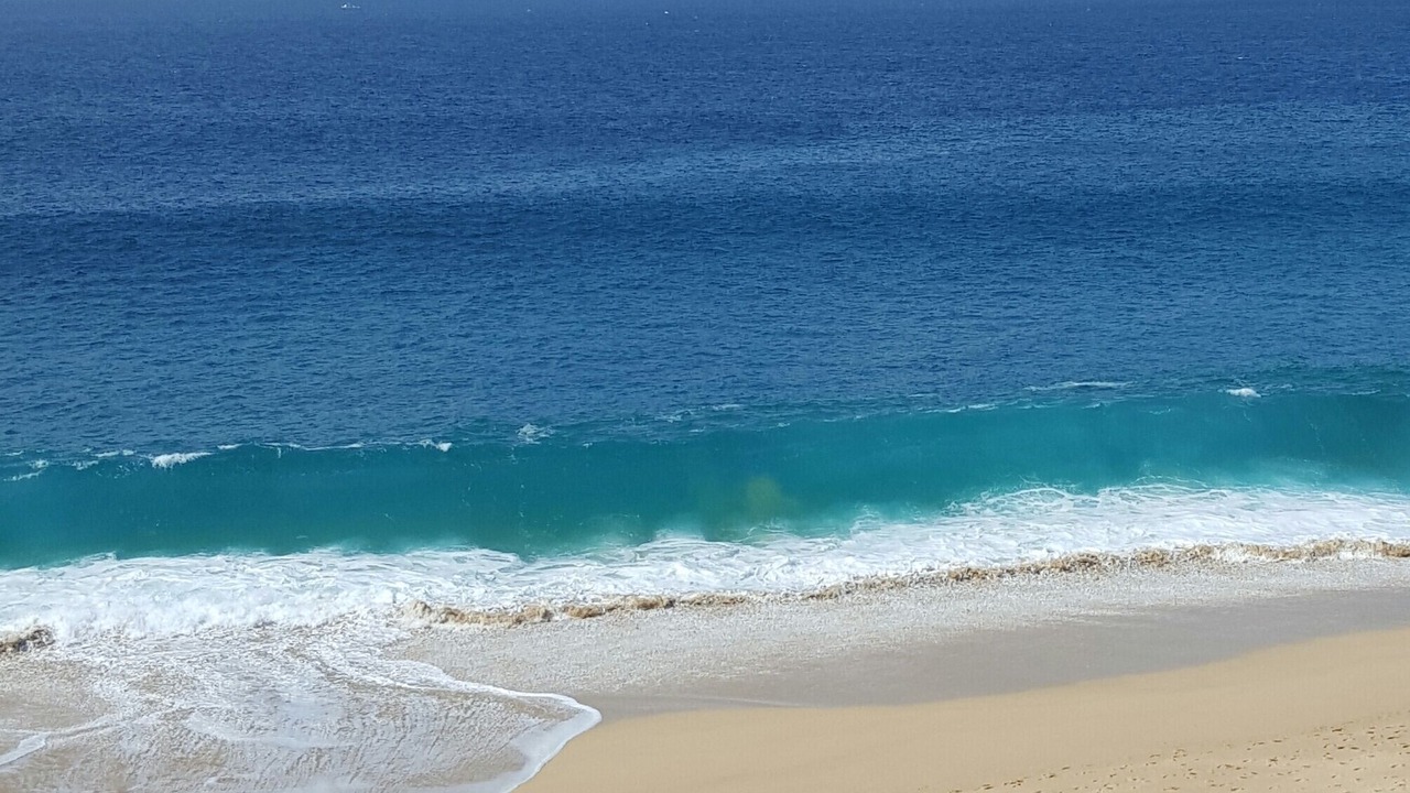 Photo of Others in Los Cabos