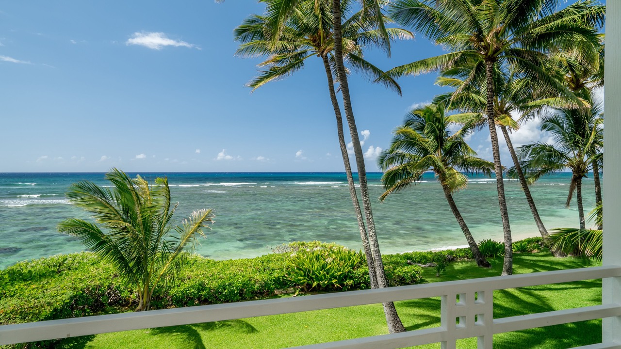Photo of Outdoor in Mokuleia