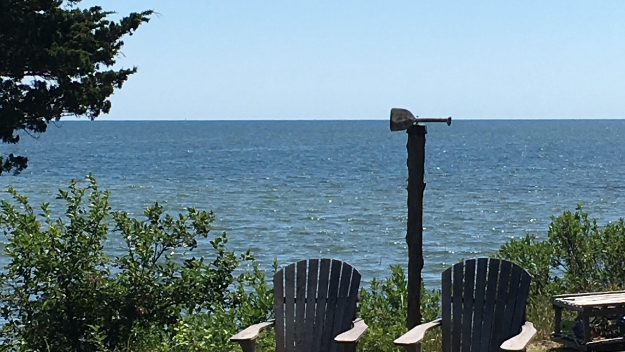 Photo of Outdoor in Cotuit