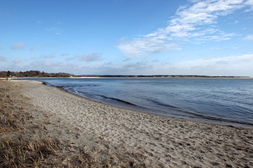 Photo of Others in Cotuit