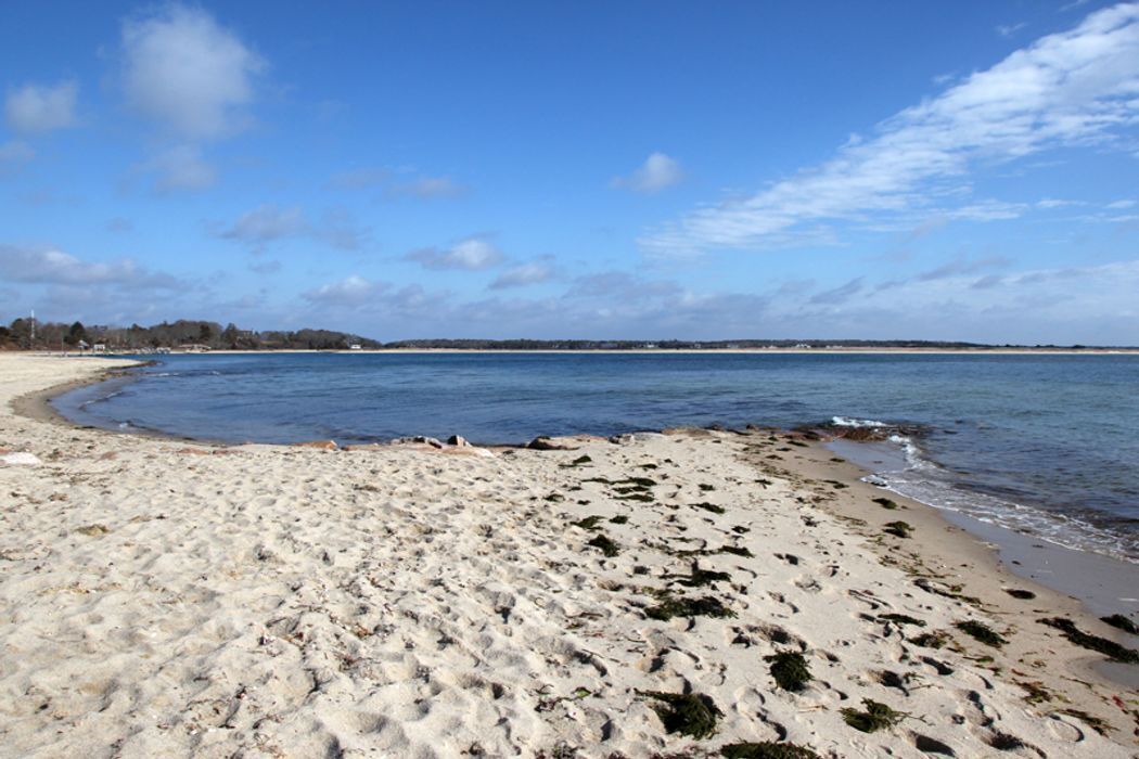 Photo of Others in Cotuit