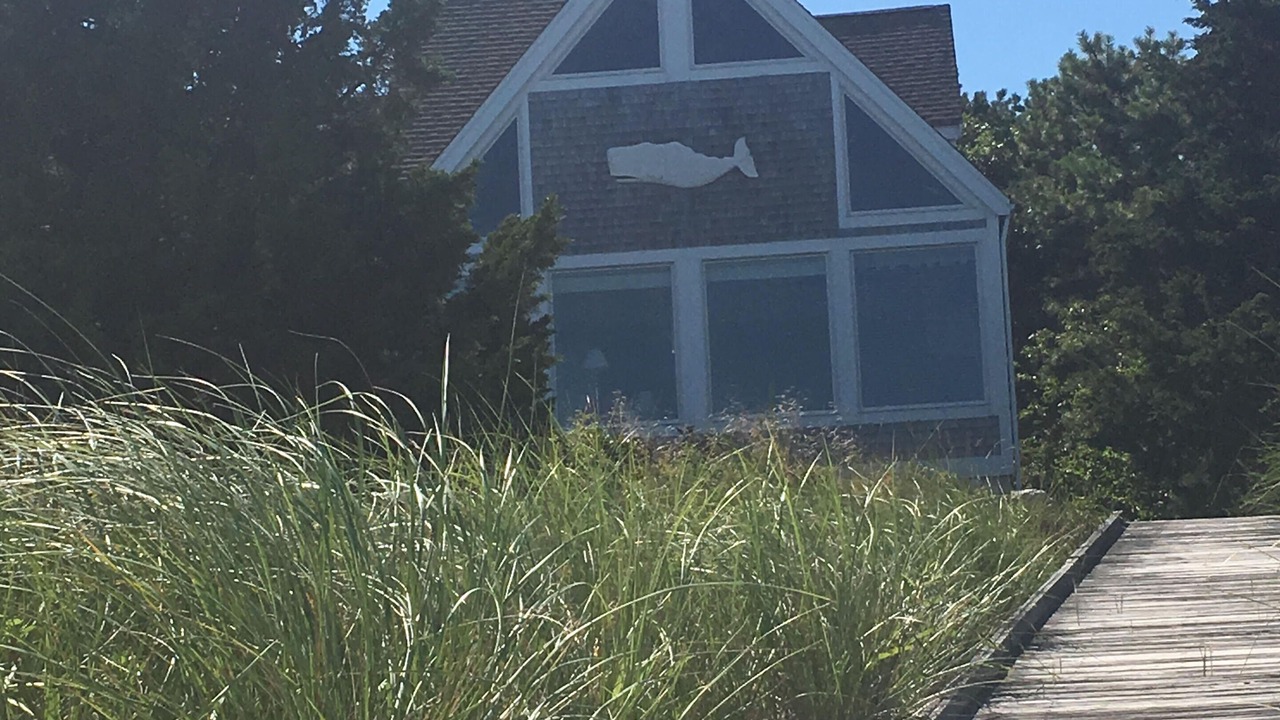 Photo of Outdoor in Cotuit