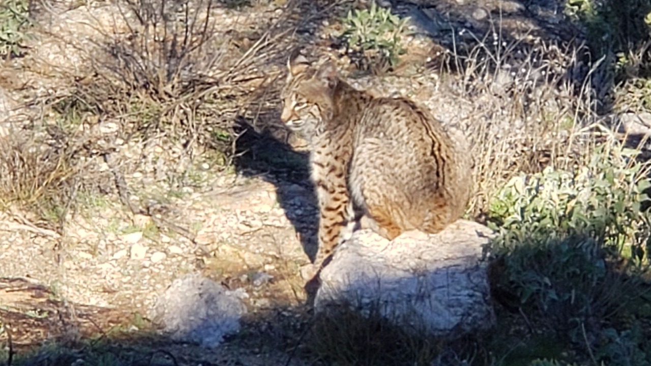 Photo of Others in The Elin Ranch