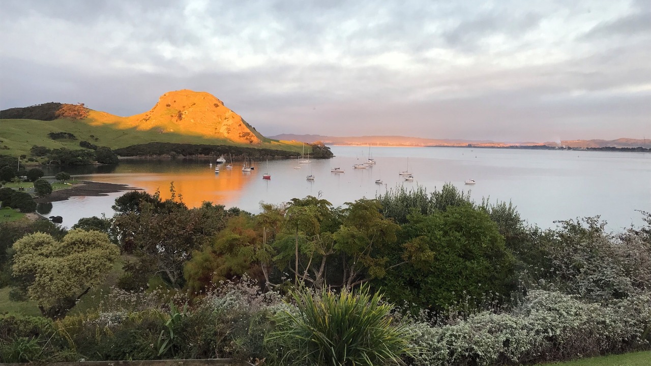 Photo of Others in Whangarei Heads