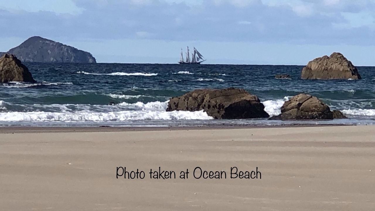 Photo of Others in Whangarei Heads