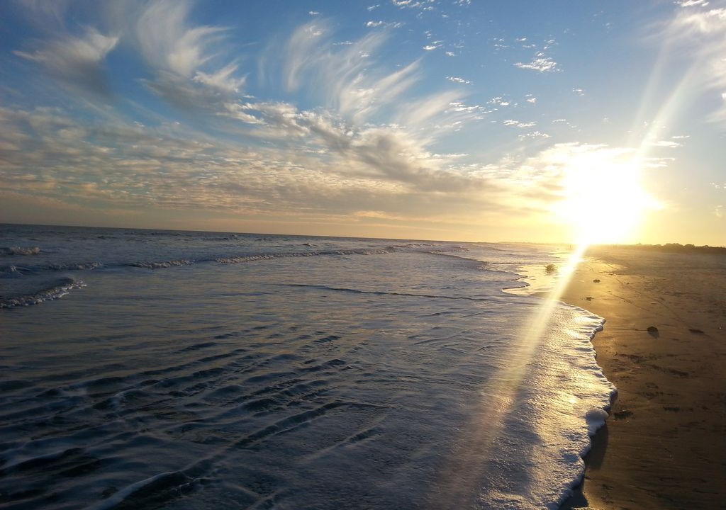 Photo of Others in West Beach