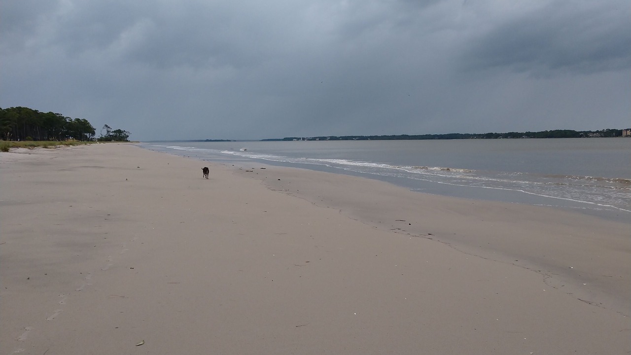 Photo of Others in Melrose on the Beach