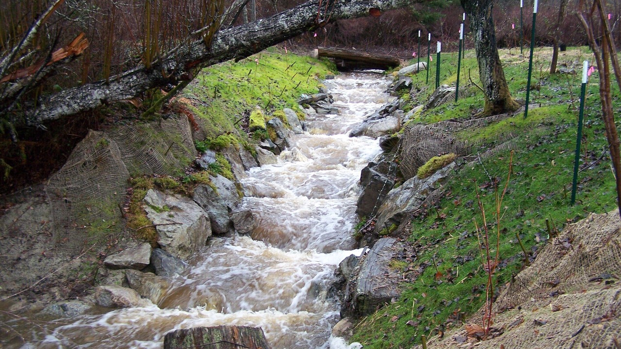 Photo of Others in Deer Harbor