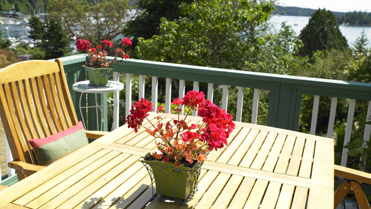 Photo of Outdoor in Deer Harbor