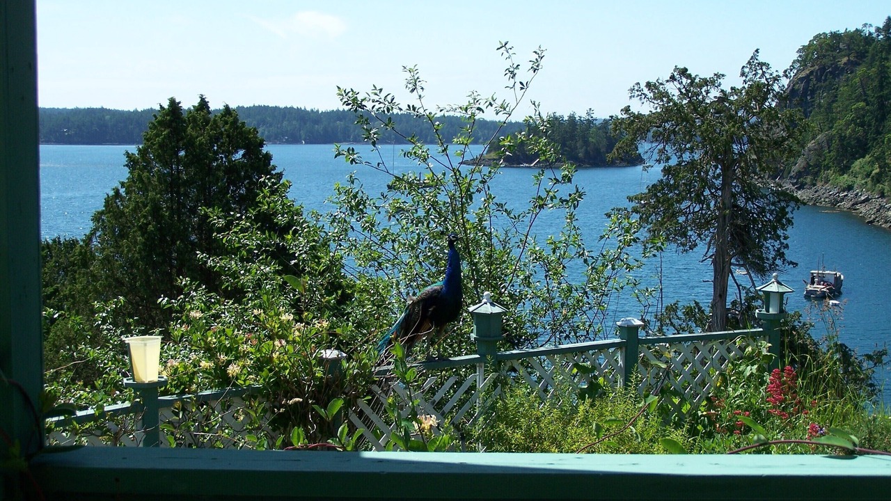 Photo of Others in Deer Harbor