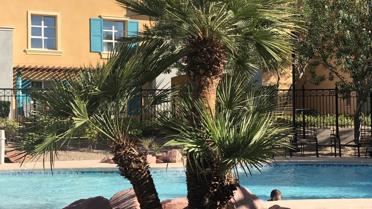Photo of Outdoor in Lake Las Vegas