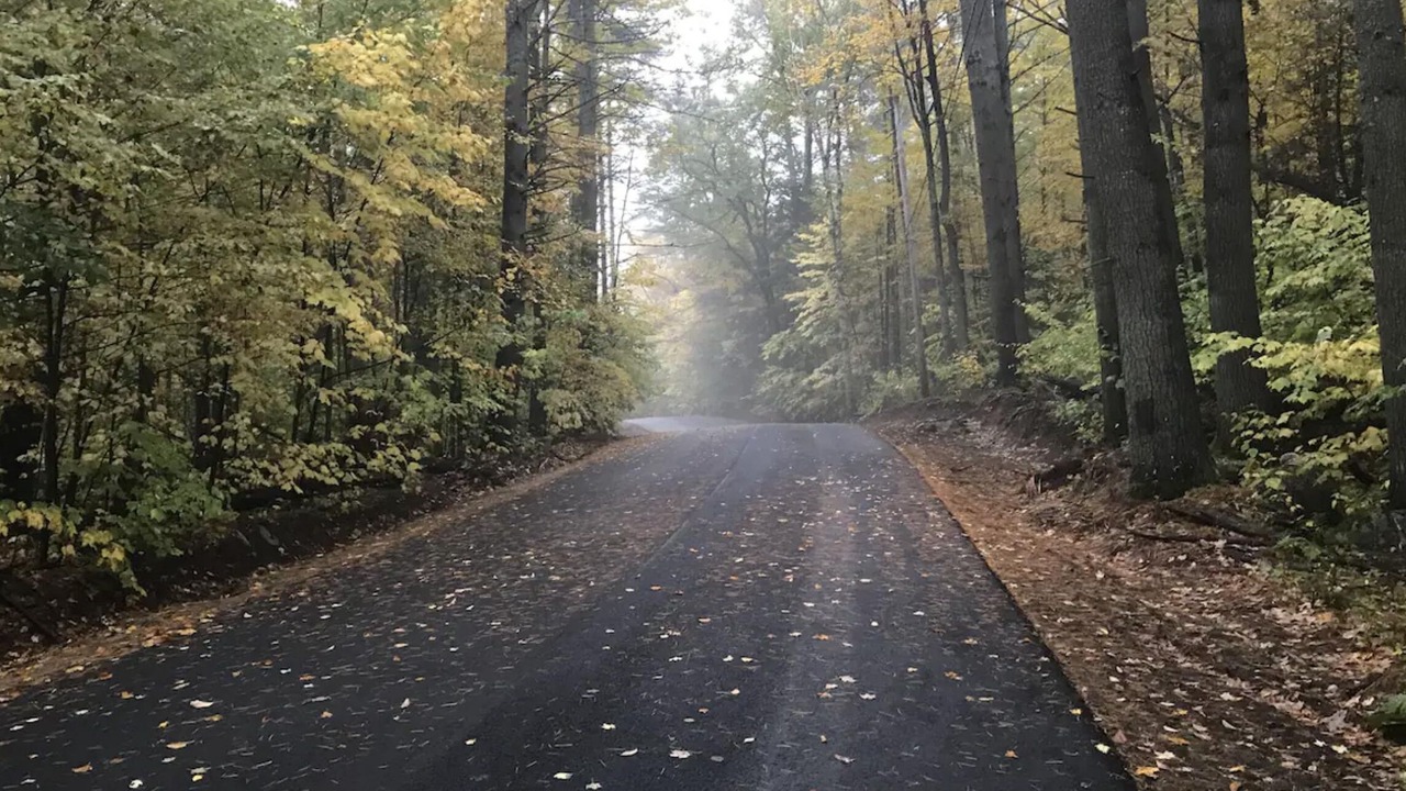 Photo of Others in Adirondack