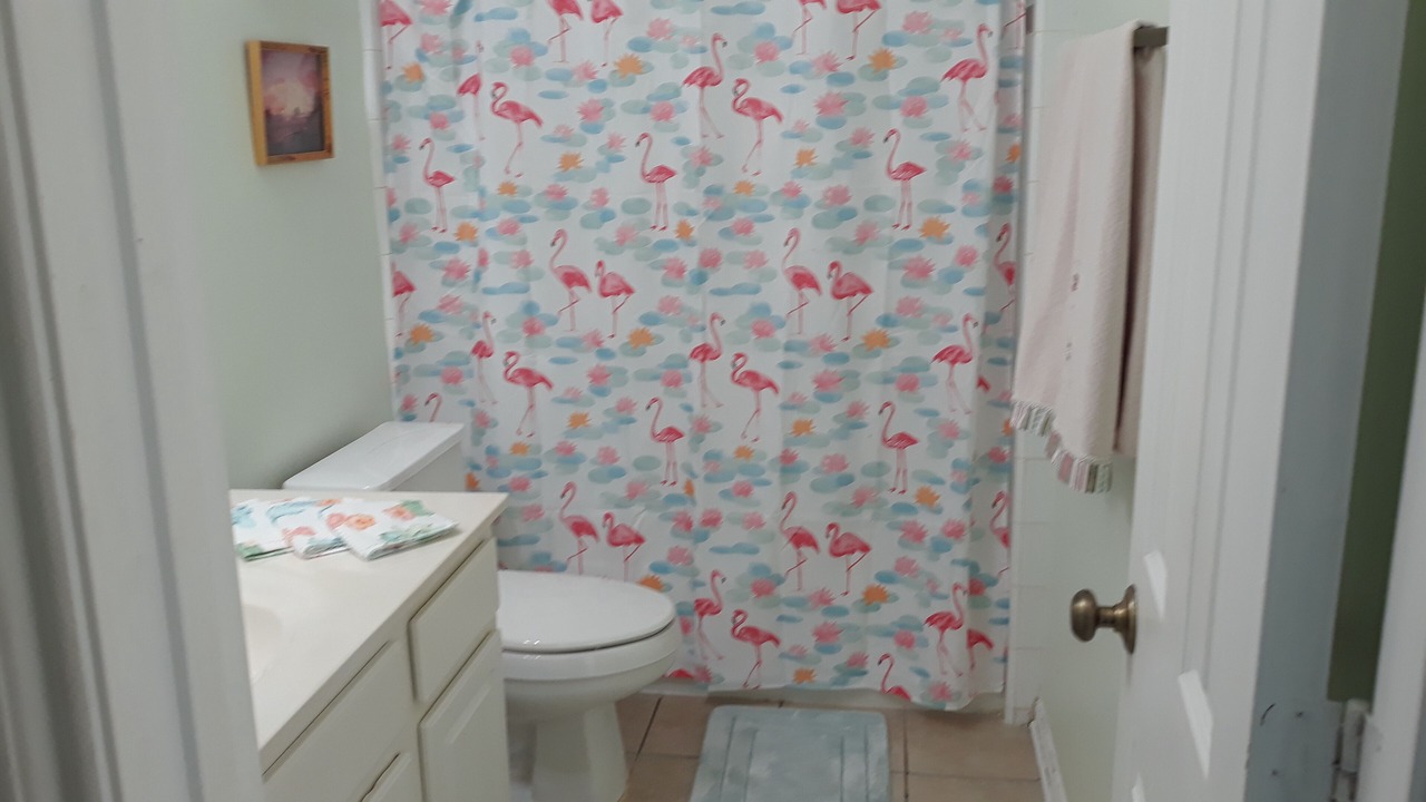 Photo of Bathroom in El Lago