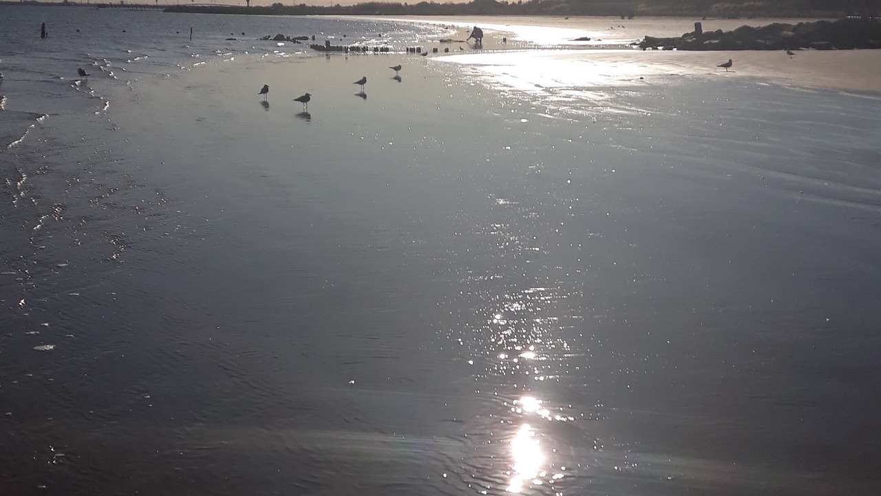 Photo of Others in El Lago