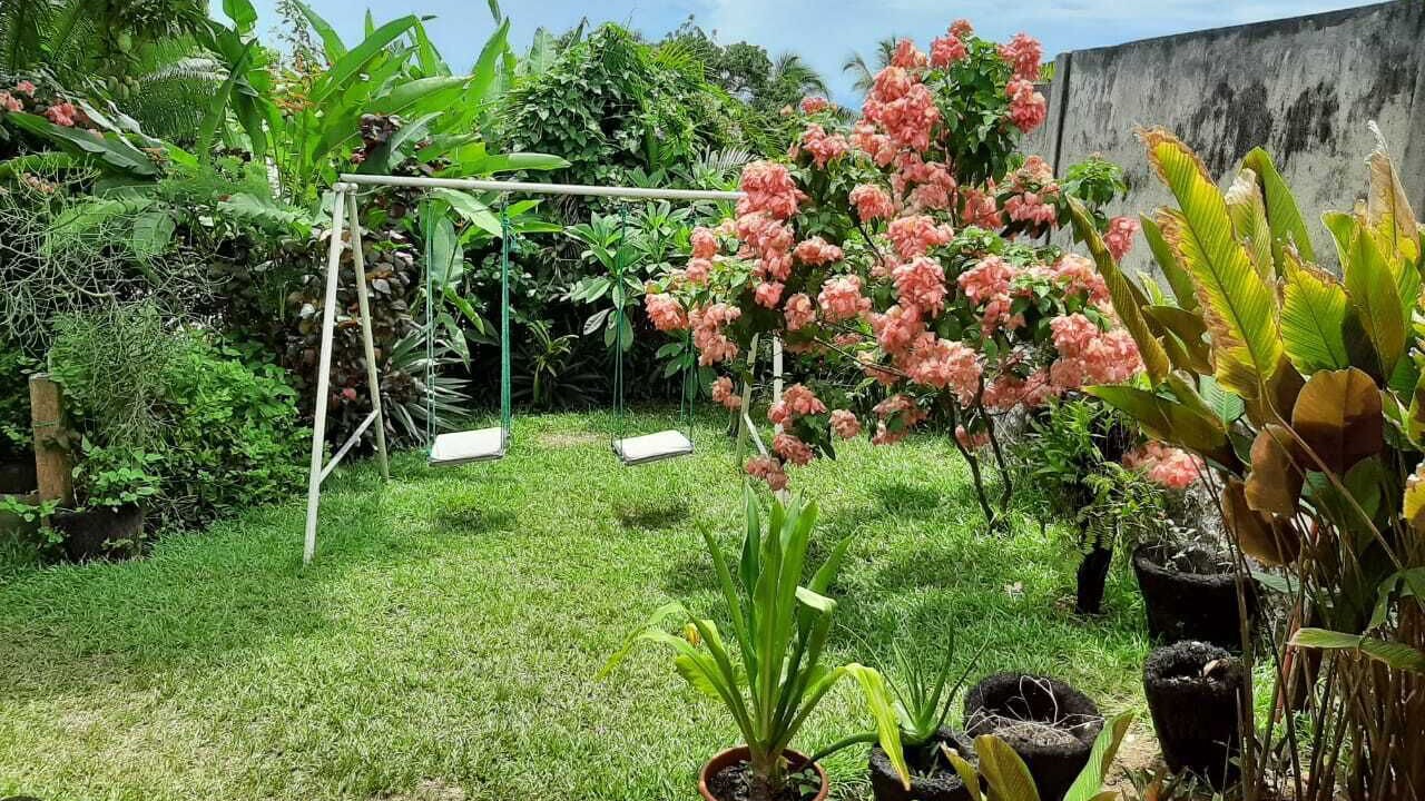 Photo of Outdoor in Ambodifototra