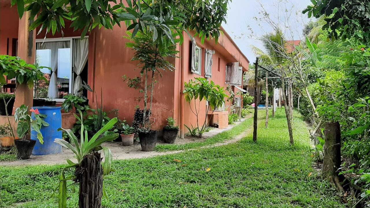 Photo of Outdoor in Ambodifototra