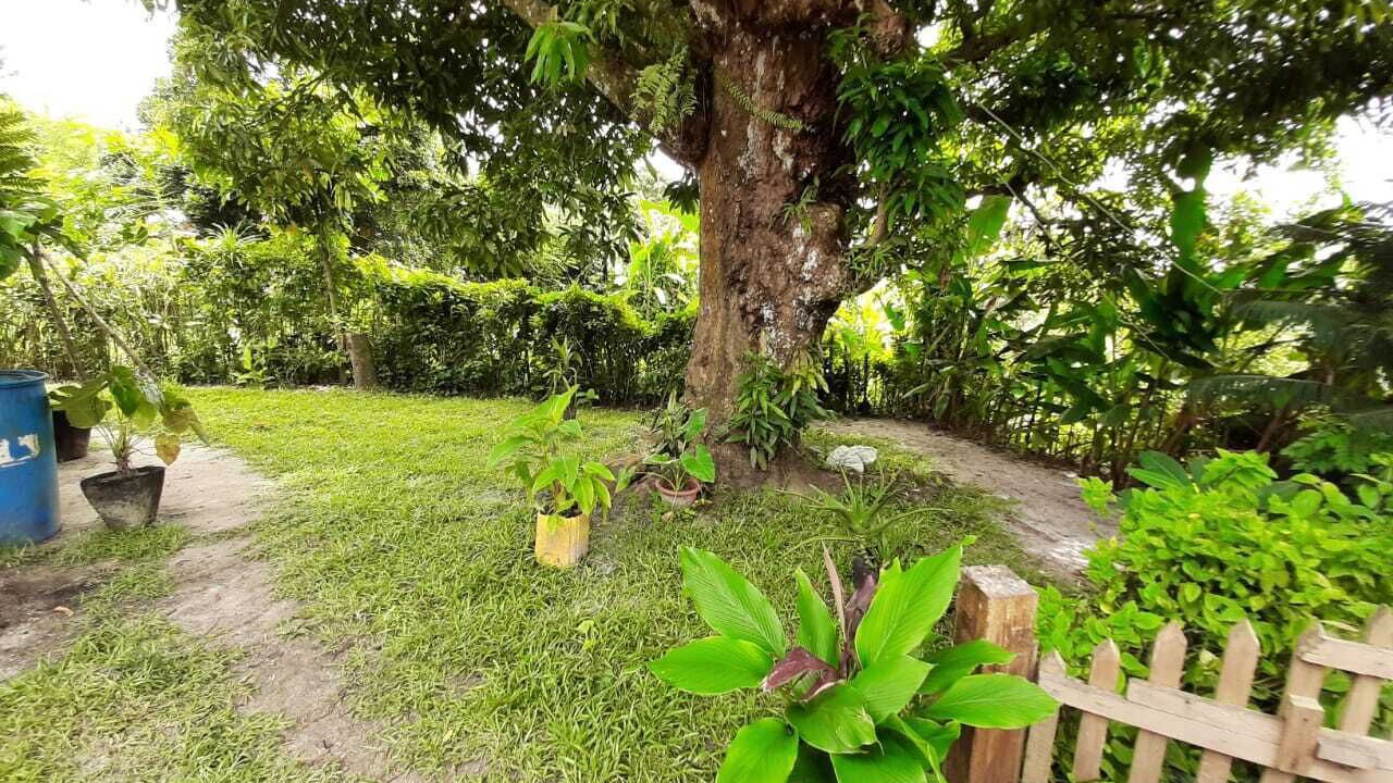 Photo of Outdoor in Ambodifototra
