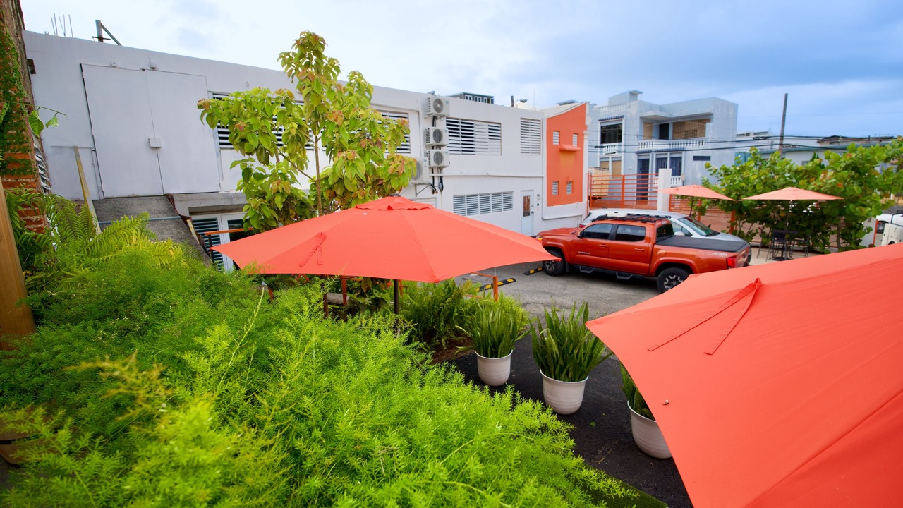 Photo of Outdoor in Mayaguez Pueblo