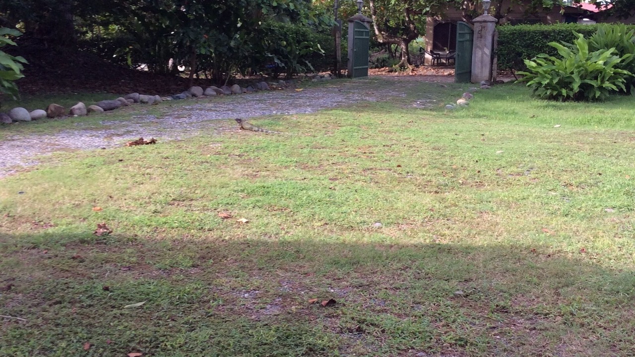 Photo of Outdoor in Sierpe