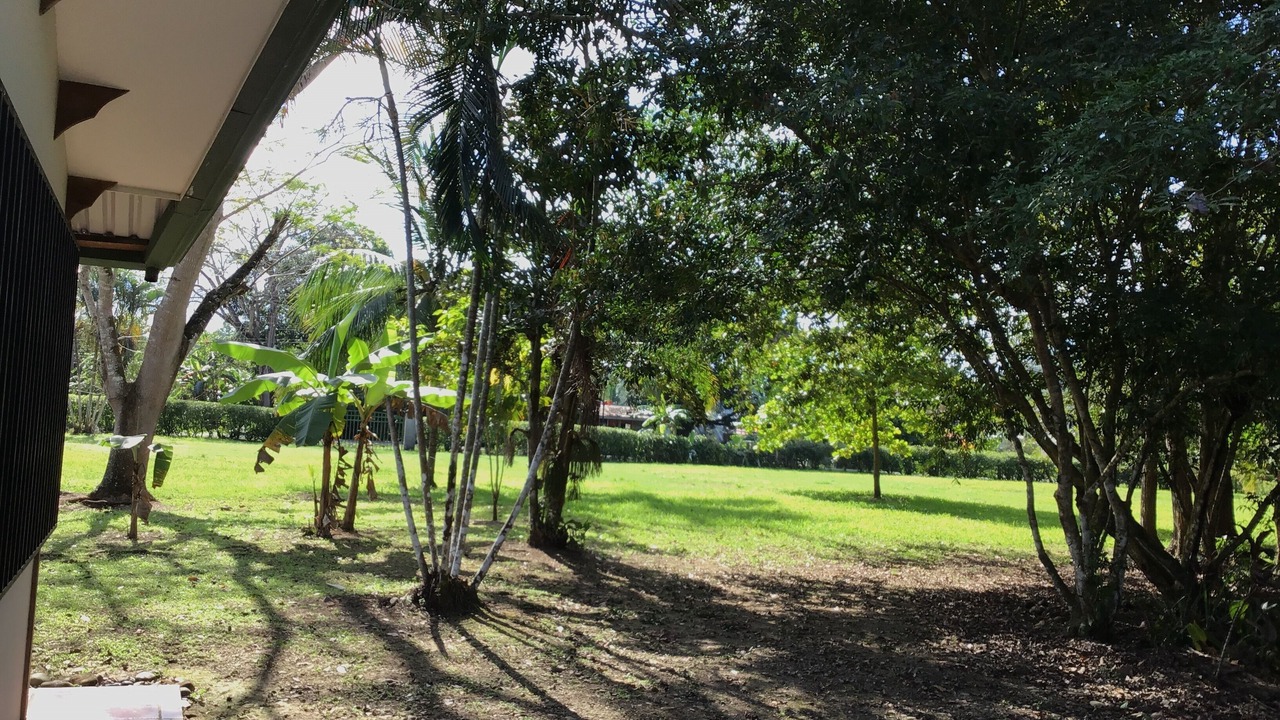 Photo of Outdoor in Sierpe