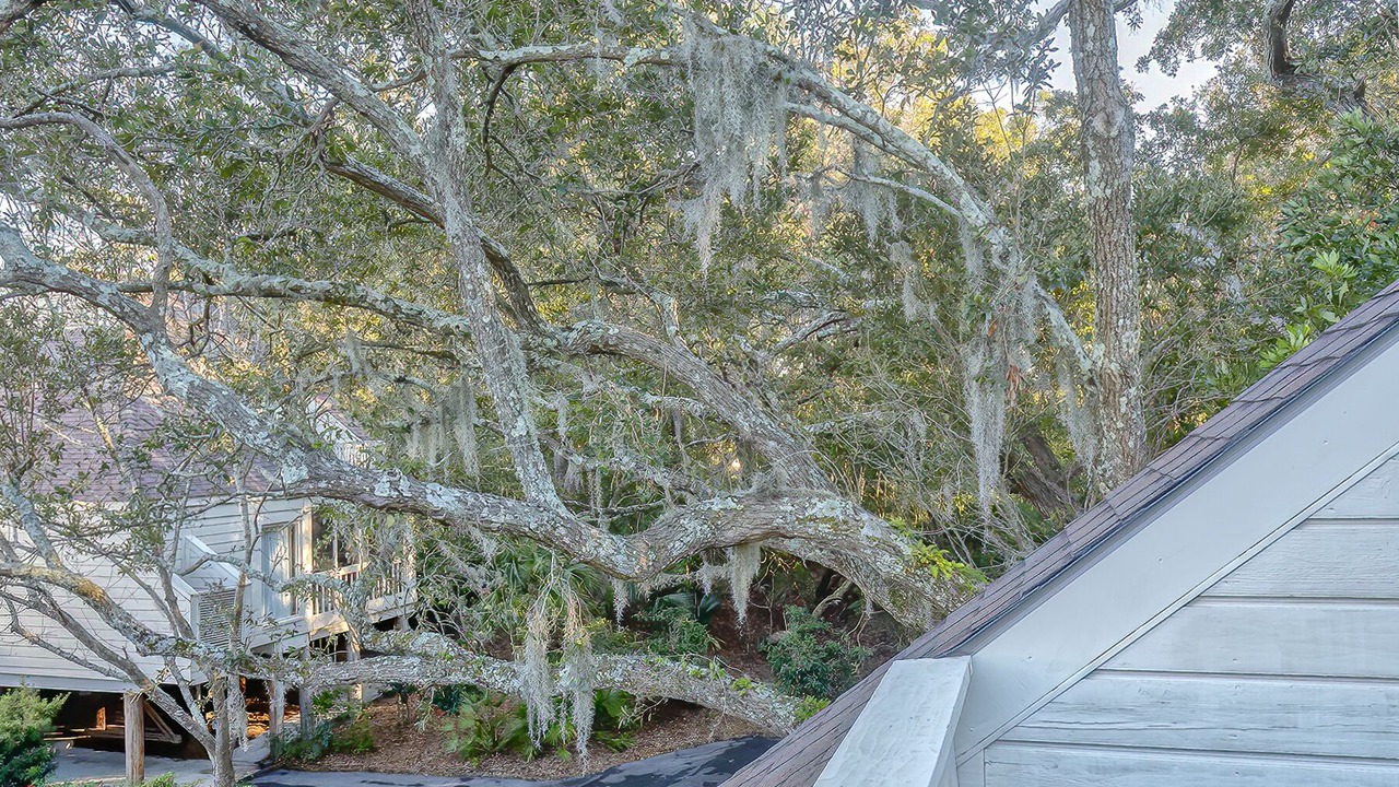 Photo of Outdoor in Spinnaker Beachhouses