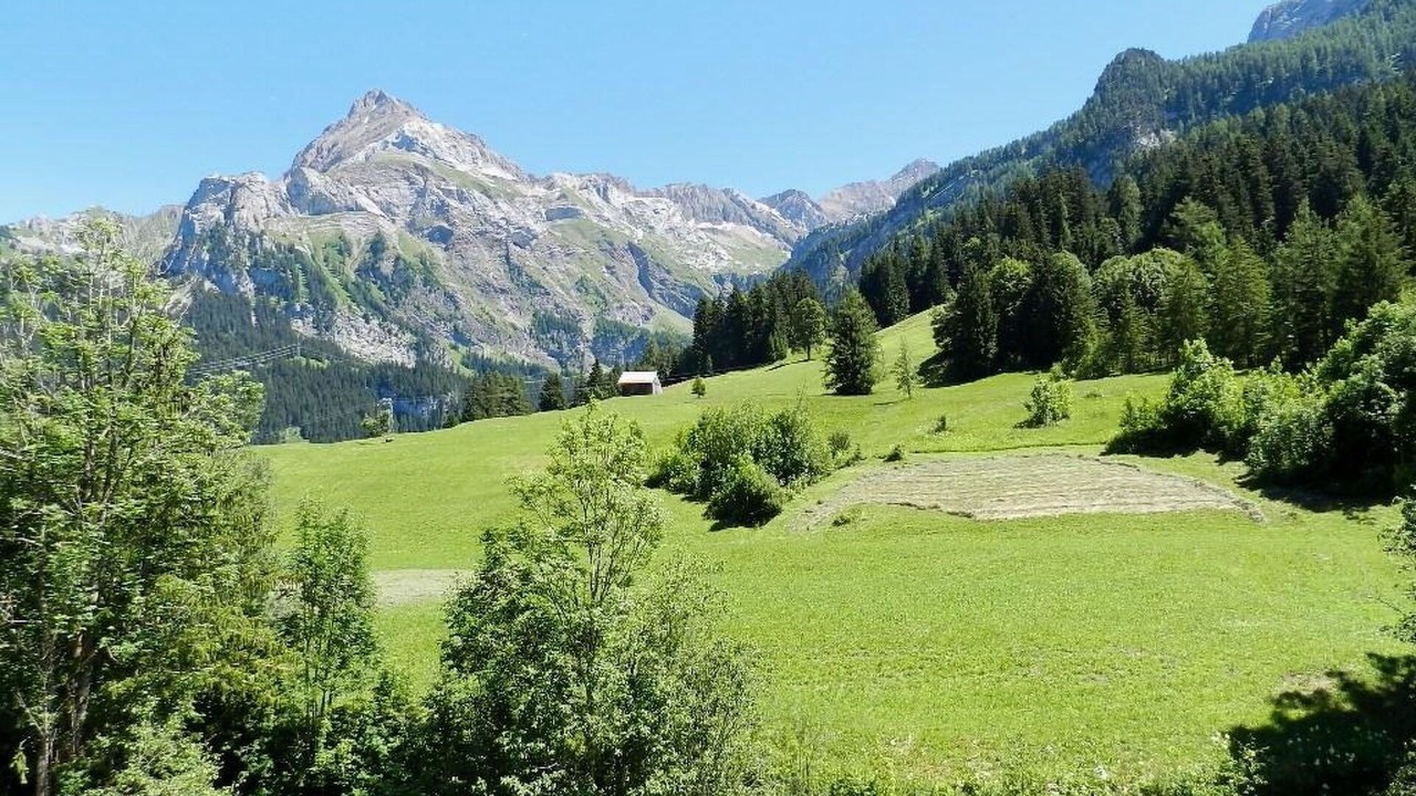 Photo of Others in Gsteig