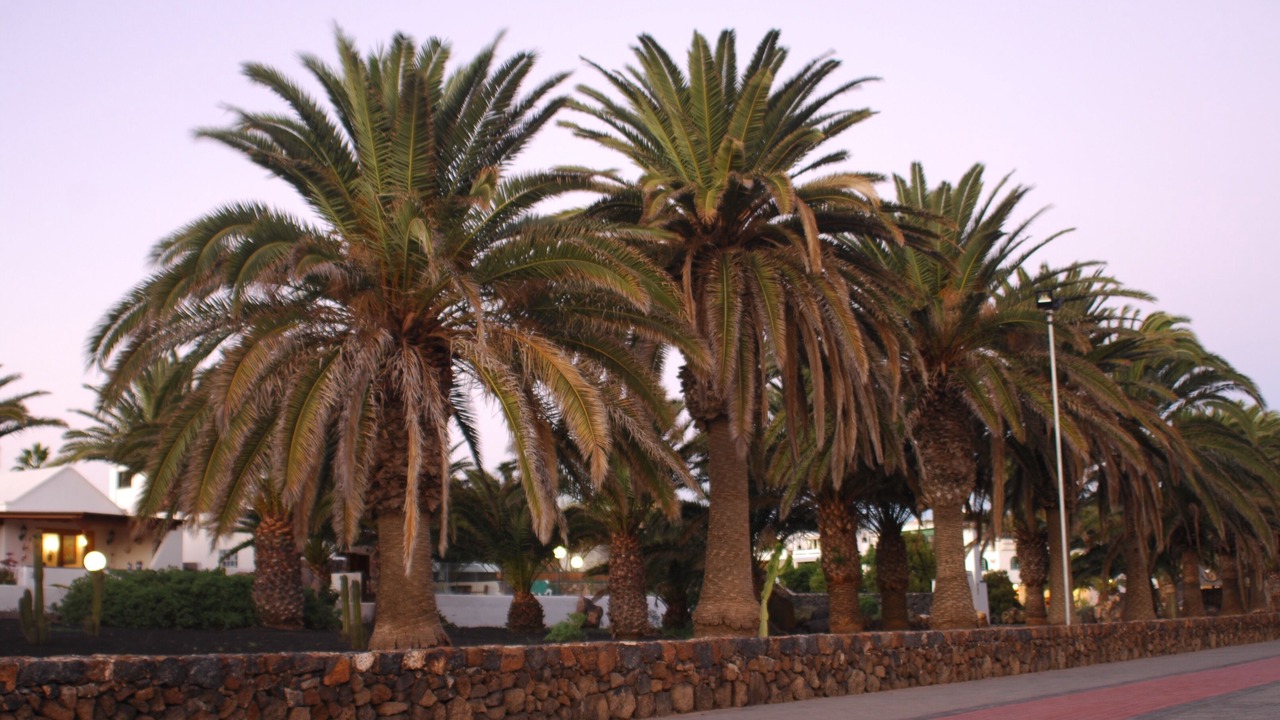 Photo of Outdoor in Costa Teguise