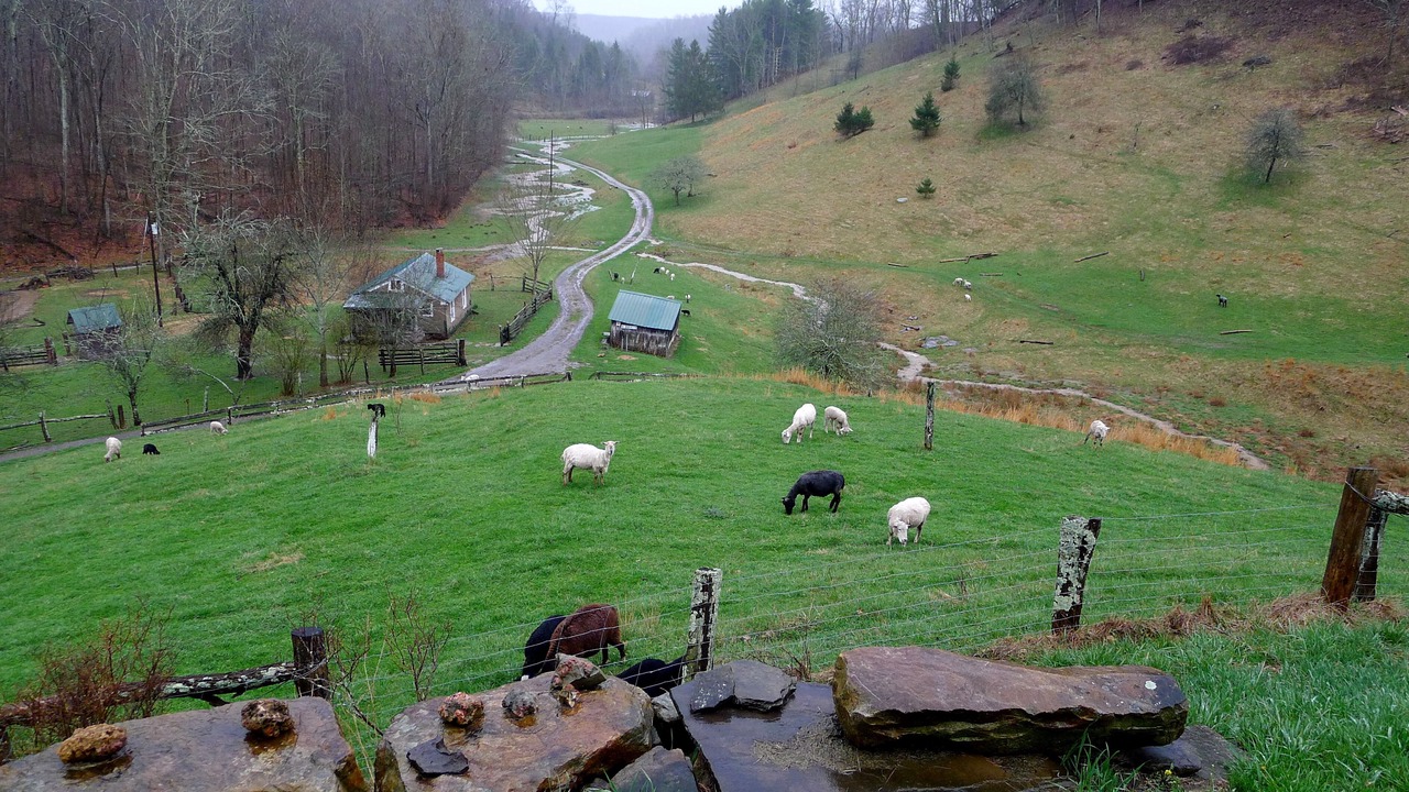 Photo of Outdoor in Falling Spring