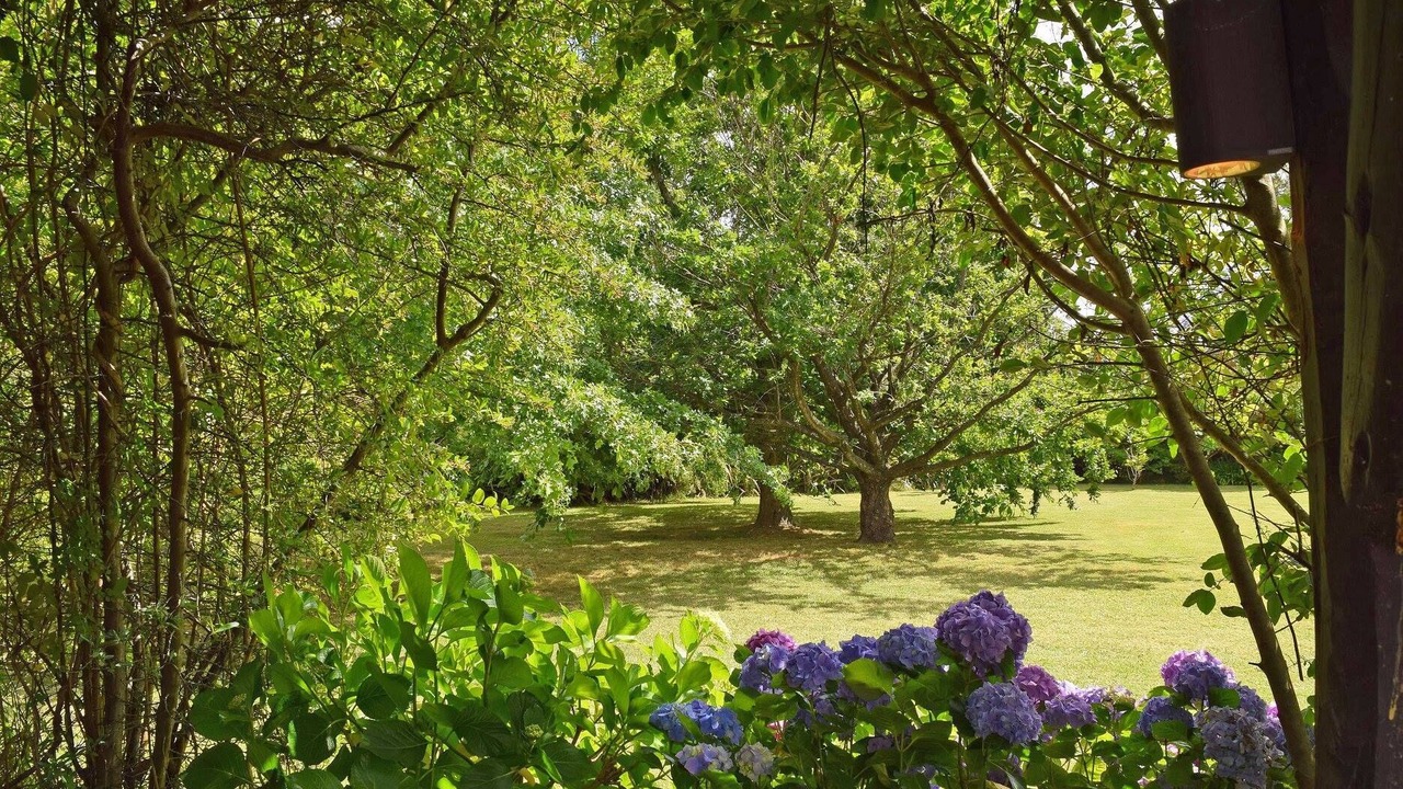 Photo of Outdoor in El Tesoro