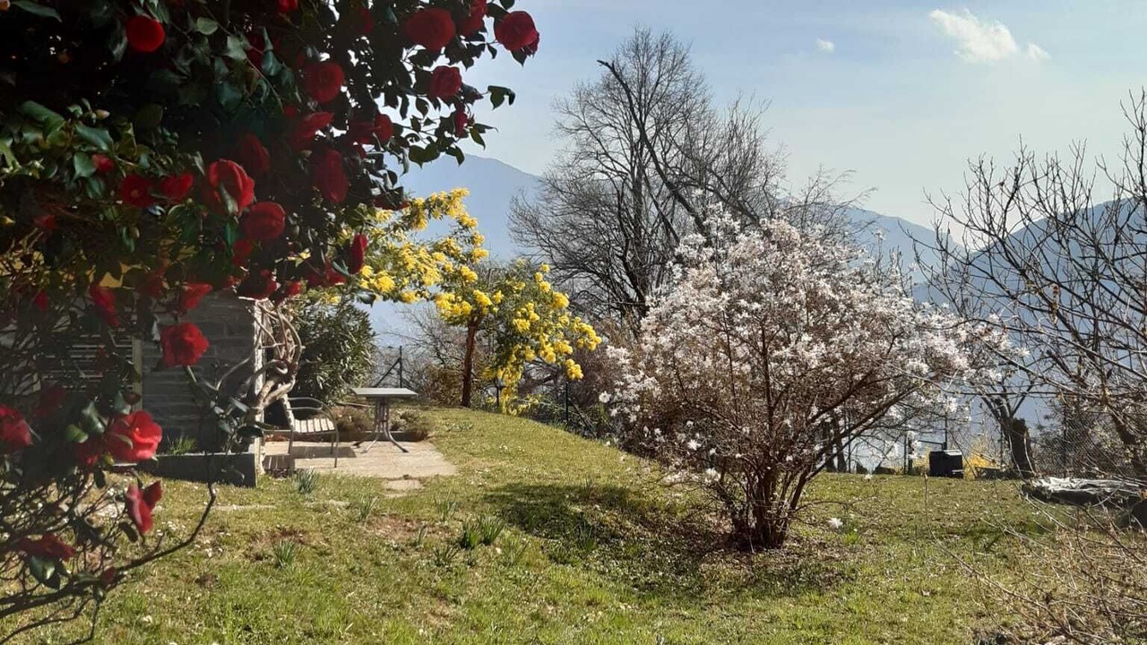 Photo of Outdoor in Carona