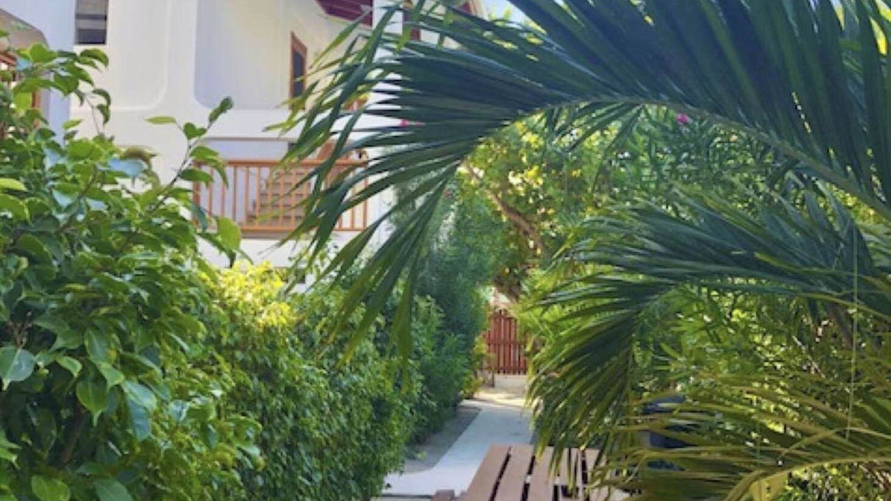 Photo of Patio Balcony in Caye Caulker